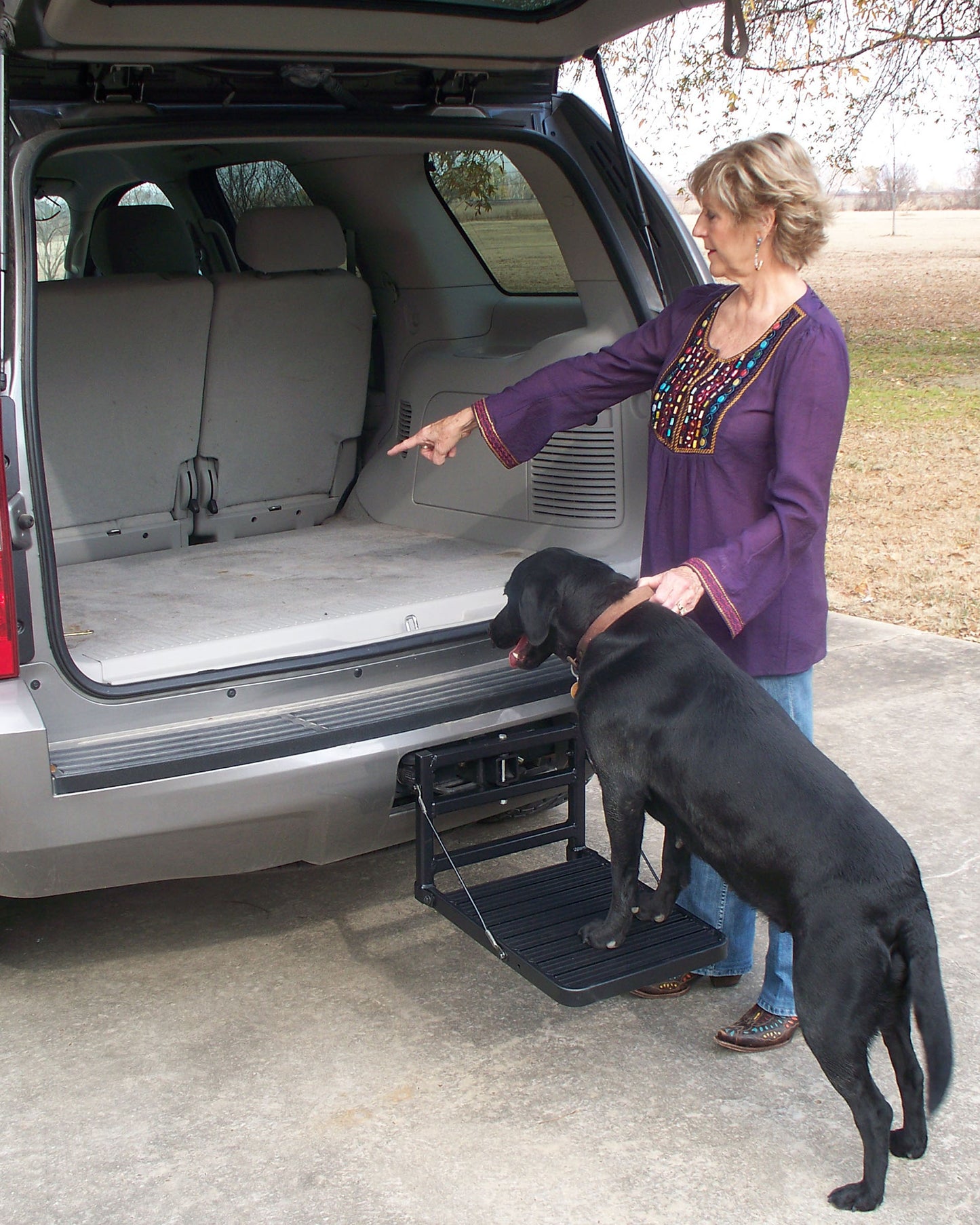 Hitch Up Pet Step, Model HU200B